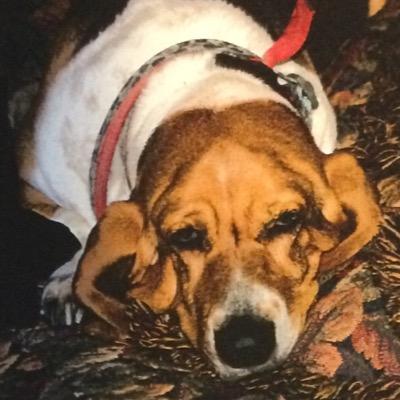 Profile Picture of Andrew Picard (@kwcp1112171) on Twitter