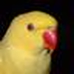Profile Picture of unknown poto shooter (@unknown poto shooter) on Flickr