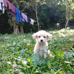 Profile Picture of Jayson Ramo Buscay (@jayson.buscay.7) on Facebook