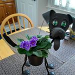 Profile Picture of Nancy J. Sierzego (@nancysierzego) on Instagram