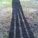 Profile Picture of Jimmy Grounds (@jgrounds1001) on Pinterest