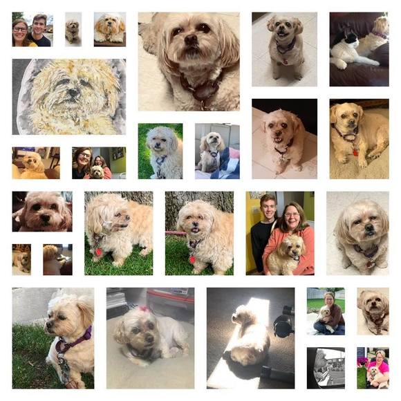 Profile Picture of Kristie Modahl (@kristiemodahl) on Poshmark