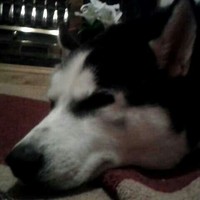 Profile Picture of Stephen Scannell (@stephen-scannell-3) on Quora