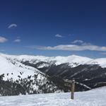 Profile Picture of patrick_arbor (@patrick_arbor) on Instagram