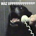 Profile Picture of Daniel Wentzel (@danielwentzel76) on Instagram