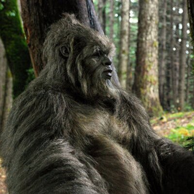 Profile Picture of Keith Weir (@SeattleSparky46) on Twitter