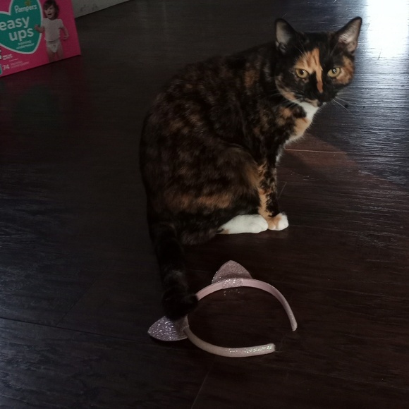 Profile Picture of Janel Brosseit (@jbrosseit) on Poshmark