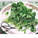 Profile Picture of Rose Huitron (@remedios_de_la_abuela) on Instagram