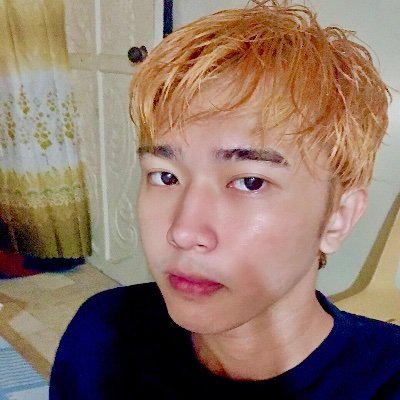 Profile Picture of Prince Ace Jovan Aguilar (@PrinceAceJovan1) on Twitter