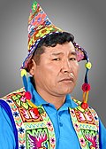 Profile Picture of Zacarías Colqueon Wikipedia