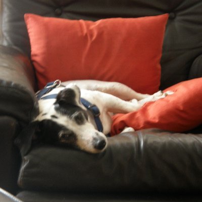 Profile Picture of Robert Valent (@robvalent1) on Twitter