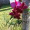 Profile Picture of Shirley Keith (@shirley.keith.98478672) on Facebook