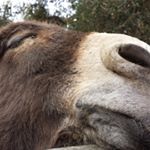 Profile Picture of Landry (@lantrieu1964) on Instagram
