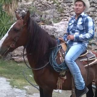 Profile Picture of Alex Coello (@Alexcoello18) on Twitter