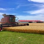 Profile Picture of Jacob Orth (@jacob__orth) on Instagram