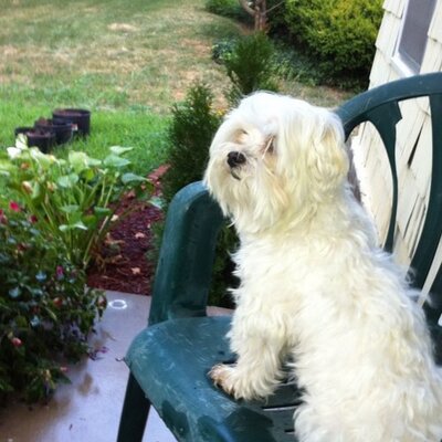 Profile Picture of Brian J. Behrens (@brianjbehrens) on Twitter