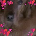 Profile Picture of Esther Mcmanus (@irishtowndaly) on Instagram