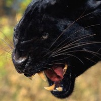 Profile Picture of Andi Gee (@andi-gee-3) on Quora