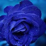 Profile Picture of Arooj Ahmad A (@aroojahmad0) on Instagram