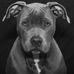 Profile Picture of Peter Giglio (@peter.giglio.90) on Facebook