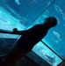 Profile Picture of Paul Albro (@paul.albro.58) on Facebook