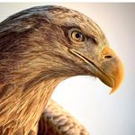 Profile Picture of Haroon Sadiq (@haroon.sadiq.33) on Instagram