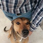 Profile Picture of Pajaro carpintero (@rafael_mango) on Instagram