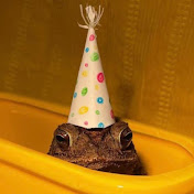 Profile Picture of Sean Kovacs (@sckova) on Youtube