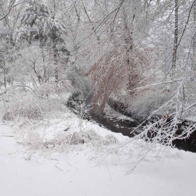 Profile Picture of Dan Cohen (@danattheocean) on Twitter