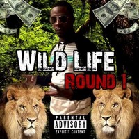 Profile Picture of Steven Shines (@steven-shines) on Quora