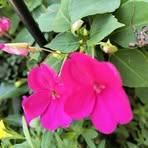 Profile Picture of Carole Heap (@carole.heap.90) on Facebook