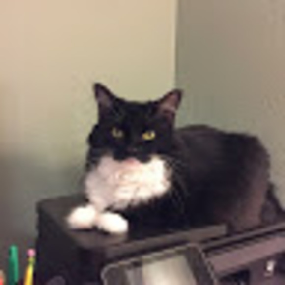 Profile Picture of Pamala Theinert (@pktheinert) on Poshmark