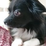 Profile Picture of Steve Mazzone (@steve.mazzone.5) on Instagram