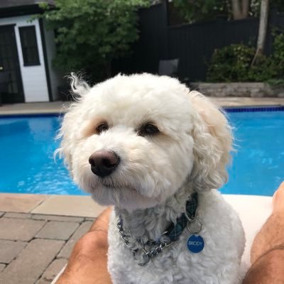 Jim Bantis - Twitter Profile Picture of Jim Bantis (@jimbantis) on Twitter