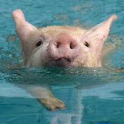 Profile Picture of Benjamin De Alba (@benja_dalba) on Twitter