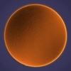 Profile Picture of Nancy Rigler (@nancyrigler) on Tiktok