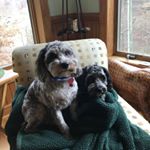 Profile Picture of John Downs (@jdownswsnc) on Instagram