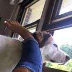 Profile Picture of palagia️️️🥳 (@palagia.spammm) on Instagram