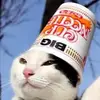Profile Picture of Nicholas Lum (@anicklum) on Tiktok