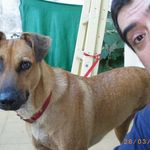 Profile Picture of Daniel Estilo (@danielestilo) on Instagram