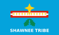 Profile Picture of Shawnee Tribe - Wikipediaon Wikipedia