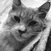 Profile Picture of Benjamin Boton (@benjamin.boton.1) on Facebook