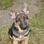 Profile Picture of Bouchard Marcel (@bouchard.marcel.9) on Instagram