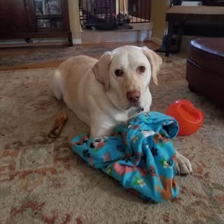 Profile Picture of Benjie Friday (@benjiefriday) on Instagram