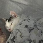 Profile Picture of michael stapleton (@michael_7561) on Instagram