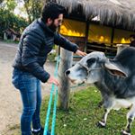 Profile Picture of David Argudo Bermeo (@david_210291) on Instagram