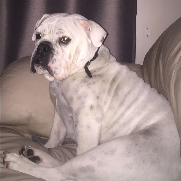 Profile Picture of Jill Oftedahl (@joftedahl12) on Poshmark