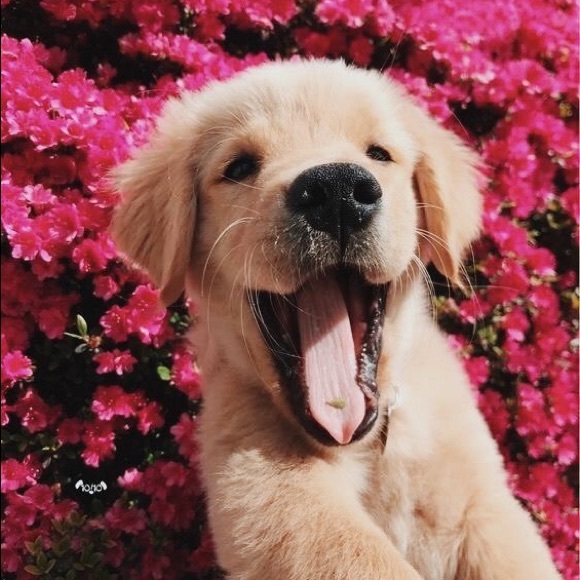 Kylee Seamans - Poshmark Profile Picture of Kylee Seamans (@kyleeseamans) on Poshmark