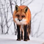 Profile Picture of Michael baraka (@baraka5289) on Instagram