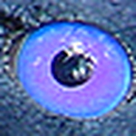 Profile Picture of fear of light (@fear of light) on Flickr